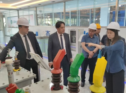 费尔干纳州霍基姆德地区电力网       设计局局长率团来公司考察